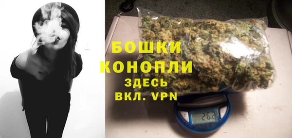 мдпв Горнозаводск