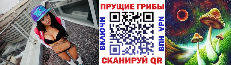 Галлюциногенные грибы мицелий  Купить закладки  Льгов 