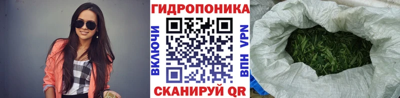 Шишки марихуана гибрид Купить закладки Льгов